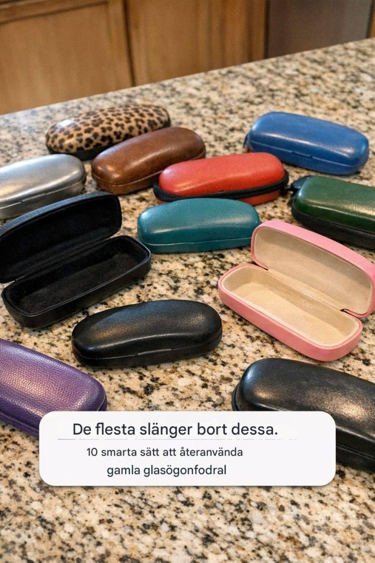 De flesta slänger bort dessa. 10 smarta sätt att återanvända gamla glasögonfodral
