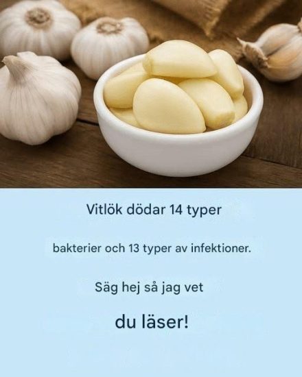 Vitlök: det naturliga antibiotikumet som bekämpar infektioner. För att fortsätta få mina recept, säg bara något… Tack!