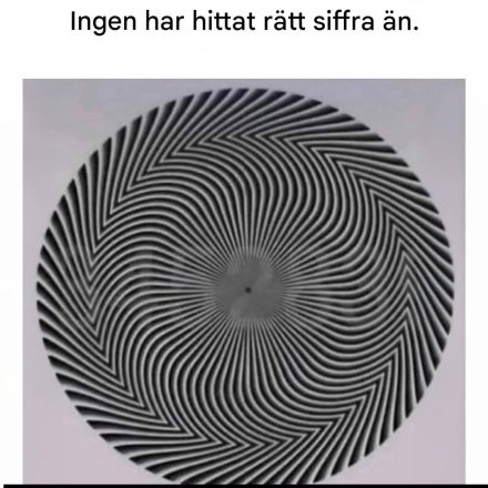 En optisk illusion avslöjar ett dolt nummer – och alla uppfattar det på olika sätt.