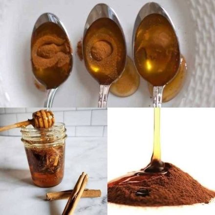 5 fördelar med honung och kanel: en effektiv och naturlig duo