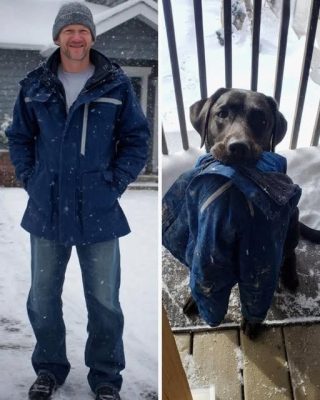 Min hund gav mig jackan som min man försvann i för flera år sedan – jag följde efter honom och kunde inte tro mina ögon.