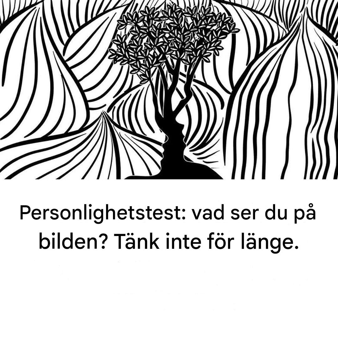 Personlighetstest: Vad ser du på bilden? Tänk inte för länge.