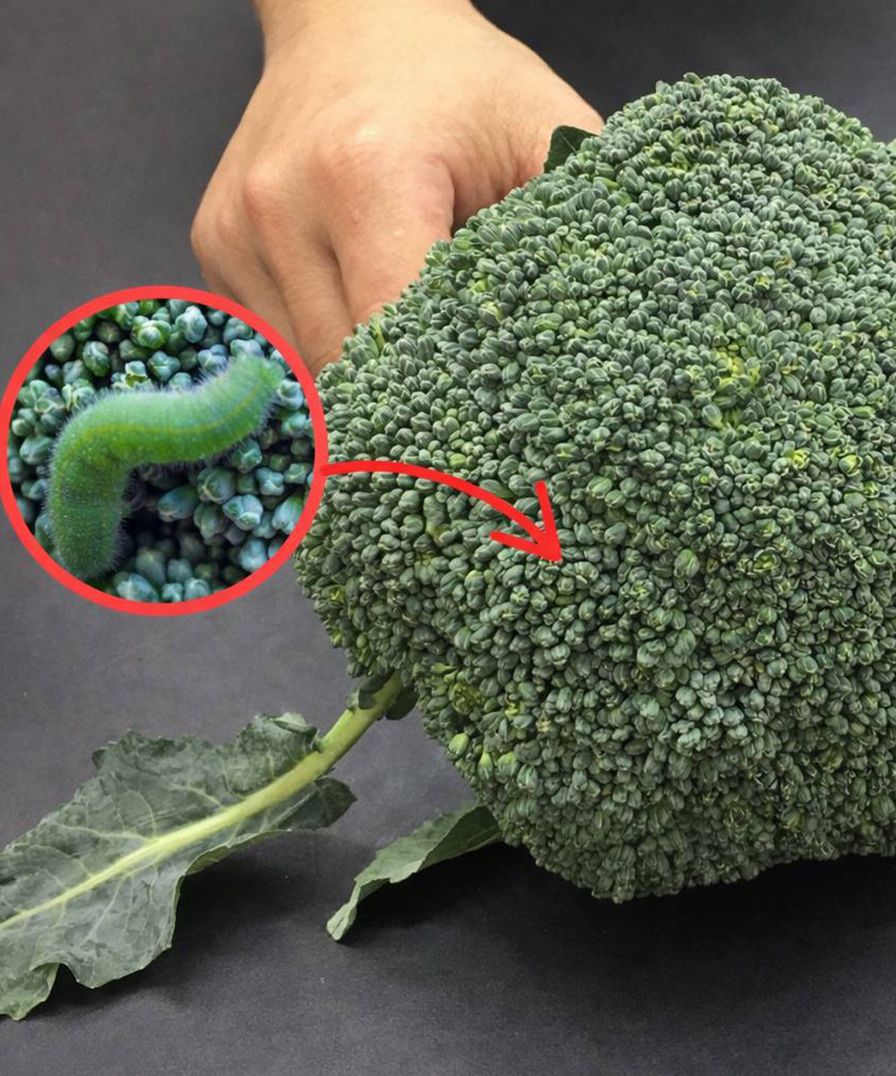 Att tvätta broccoli med bara vatten är fel: det här är rätt sätt.
