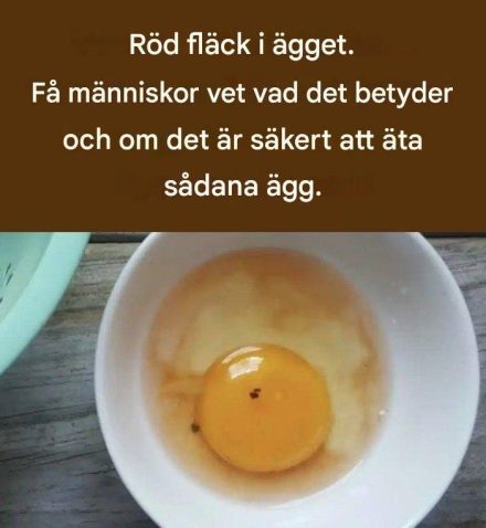 Röd fläck i ägg. Få människor vet vad det betyder och om det är säkert att äta ett sådant ägg.