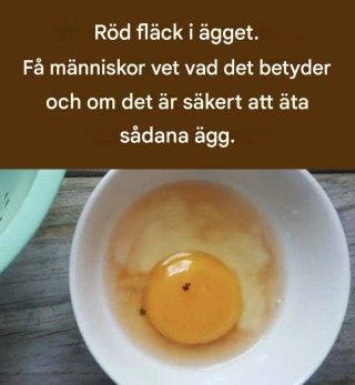 Röd fläck i ägg. Få människor vet vad det betyder och om det är säkert att äta ett sådant ägg.