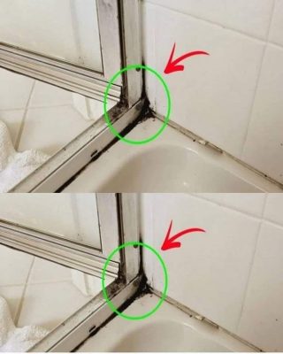 Det snabbaste sättet att bli av med silikonmögel i duschen