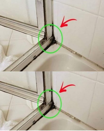 Det snabbaste sättet att bli av med silikonmögel i duschen