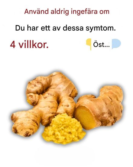 Använd aldrig ingefära om du lider av något av dessa tillstånd; det kan leda till allvarliga hälsoproblem.