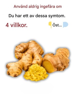 Använd aldrig ingefära om du lider av något av dessa tillstånd; det kan leda till allvarliga hälsoproblem.