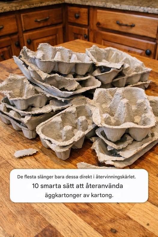 De flesta människor bara kastar dessa rakt in i återvinningsbehållaren. 10 smarta sätt att återanvända kartongäggkartonger