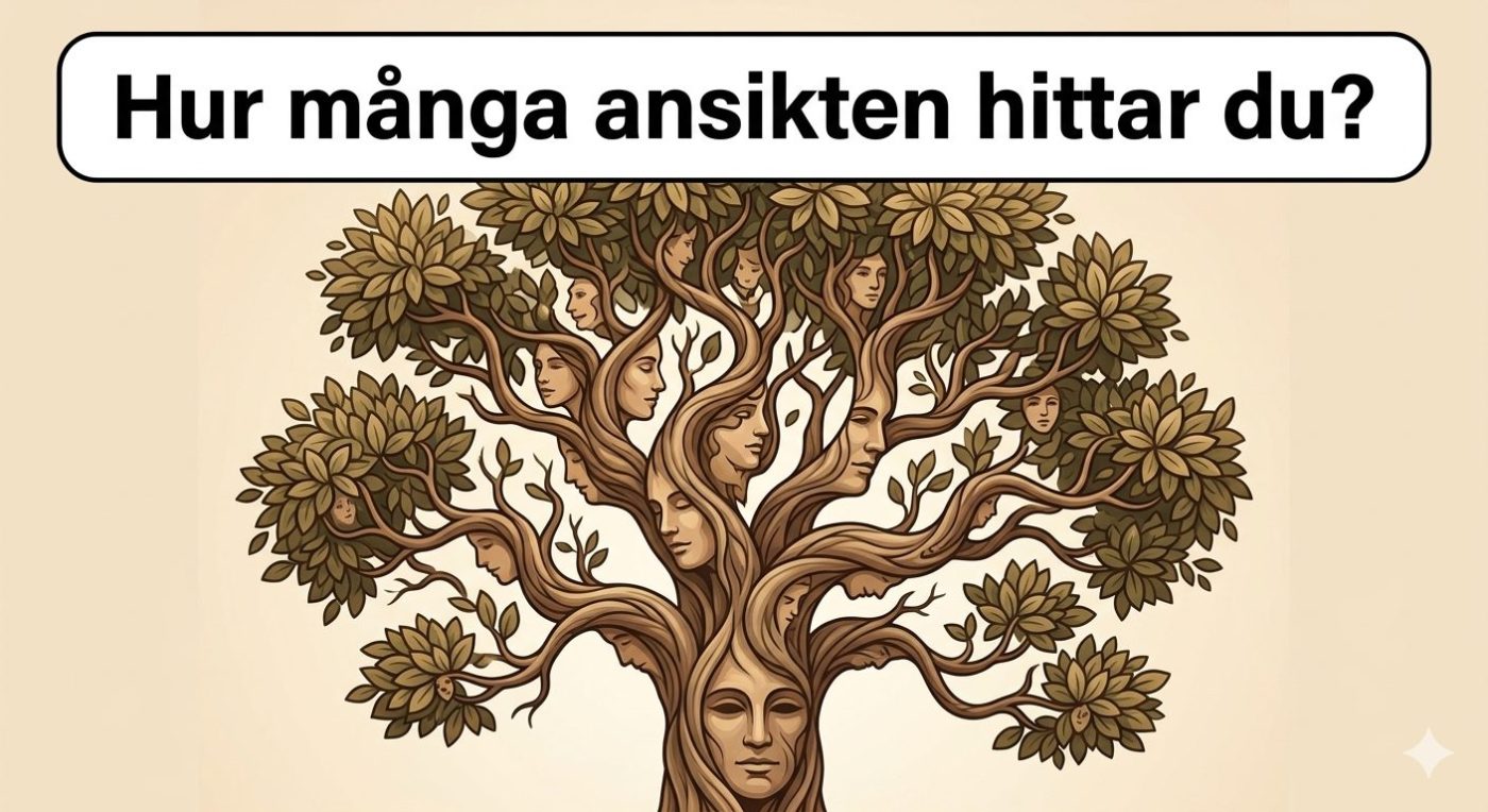 Hur många ansikten ser du i bilden? De flesta upptäcker inte alla… 👀