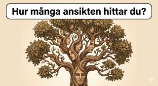 Hur många ansikten ser du i bilden? De flesta upptäcker inte alla… 👀
