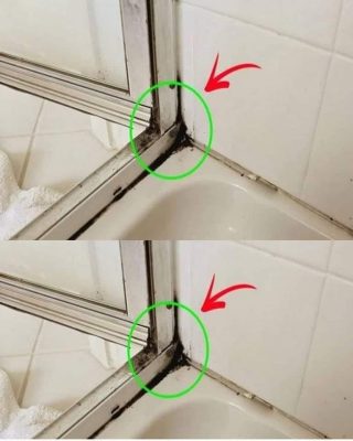 Det snabbaste sättet att bli av med silikonmögel i duschen