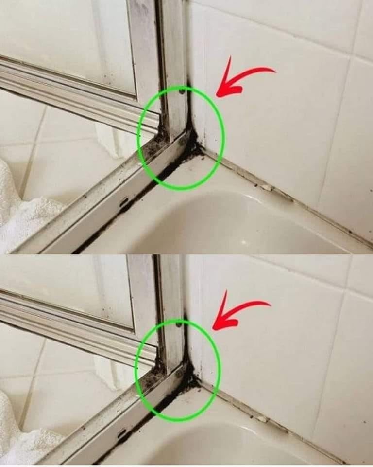 Det snabbaste sättet att bli av med silikonmögel i duschen