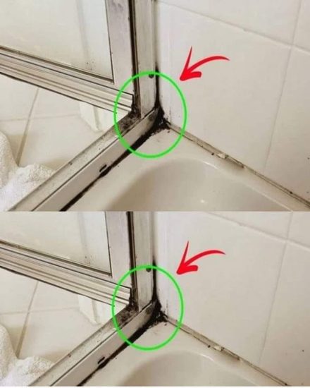 Det snabbaste sättet att bli av med silikonmögel i duschen