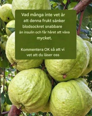 Guava – hälsopåståenden: fakta vs. verklighet