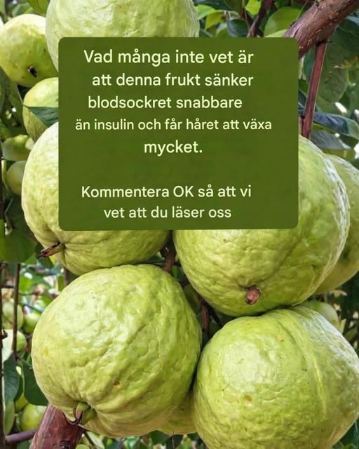 Guava – hälsopåståenden: fakta vs. verklighet