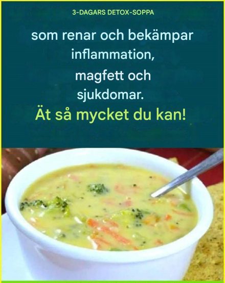 🌿 3-DAGARS DETOX SOM ALLA PRATAR OM – Känn dig lättare på bara några dagar!