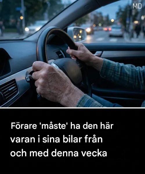 Viktigt att ha i bilen den här säsongen varje förare