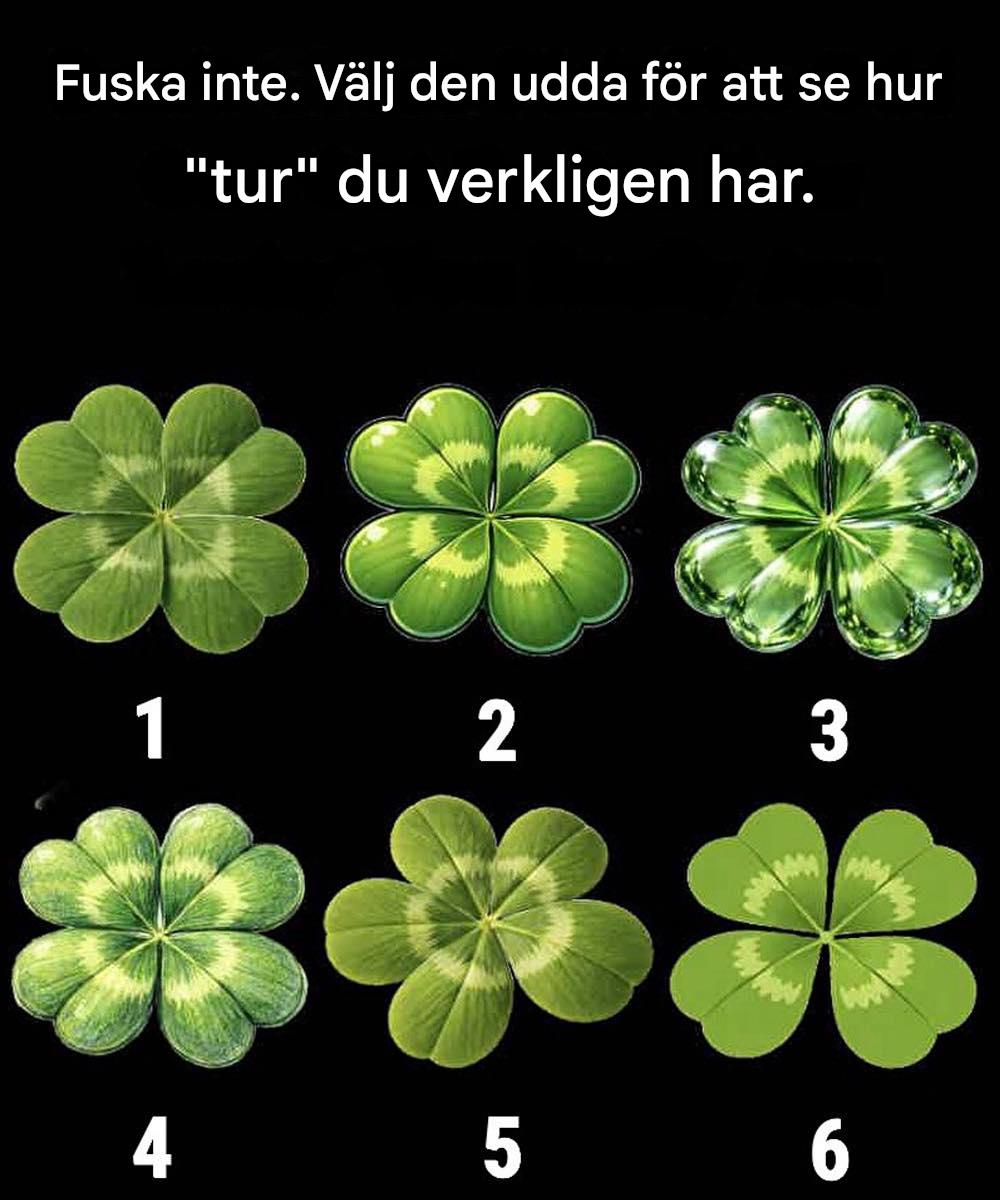Ät inte fusk. Välj den udda för att se hur “tur” du verkligen har.