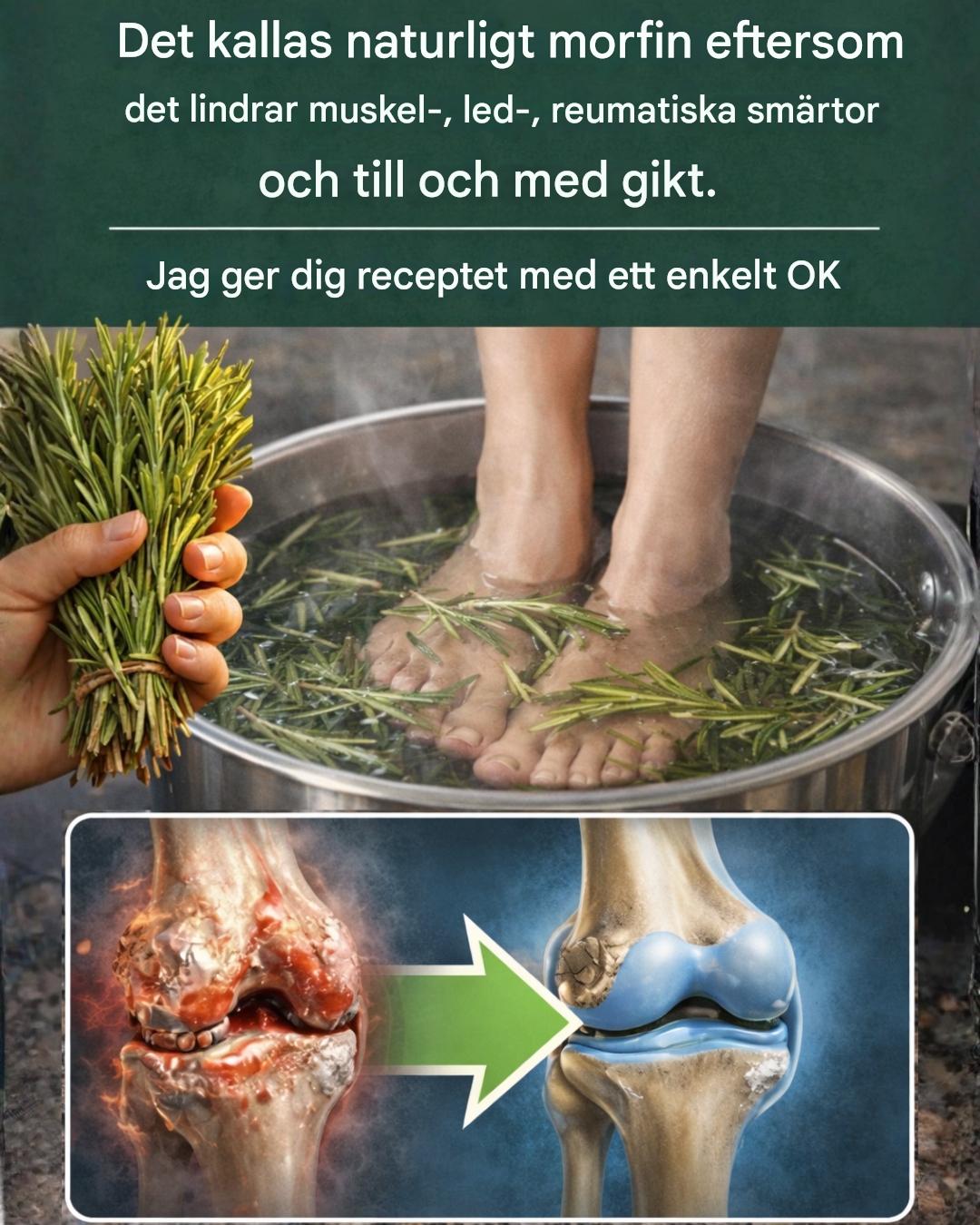 Rosmarin: En kraftfull medicinalört för att lindra smärta och stödja naturlig hälsa