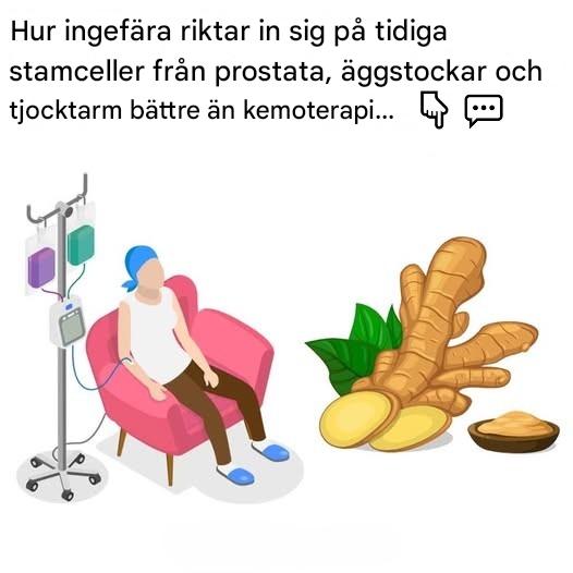 Hur ingefära riktar sig bättre mot prostata, äggstockar och tjocktarm än kemoterapi