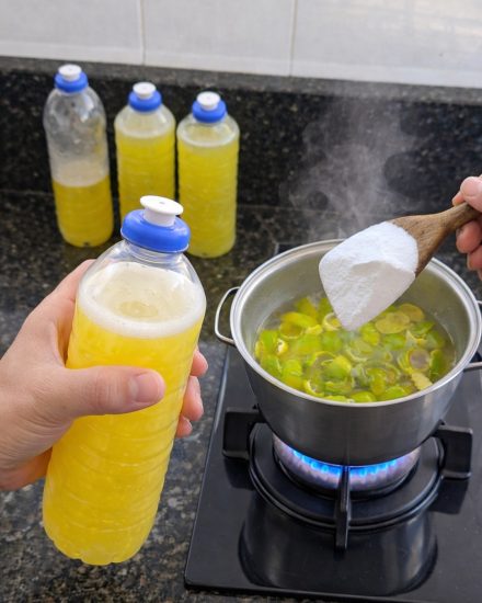 Kraftfullt hemmagjort multirengöringsmedel med citronskal (spara pengar och rengör naturligt)