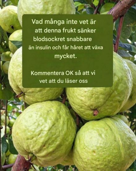 Guava – hälsopåståenden: fakta vs. verklighet