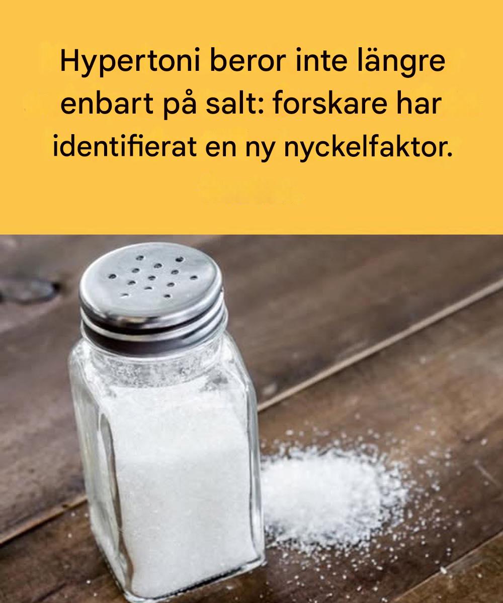 Hypertoni beror inte längre enbart på salt: forskare har identifierat en ny nyckelfaktor.