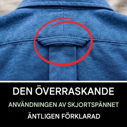Hemligheten bakom den där lilla öglan som är fastsydd på baksidan av din skjorta