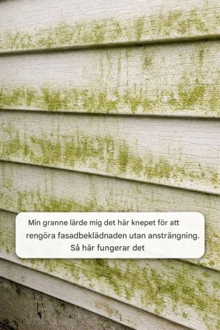 Min granne lärde mig det här knepet för att rengöra fasadbeklädnaden utan ansträngning. Så här fungerar det.
