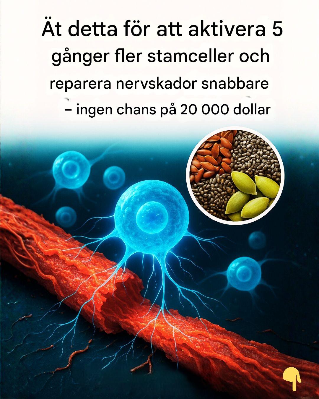 Ät detta för att aktivera 5 gånger fler stamceller och reparera nervskador snabbare – ingen chans på 20 000 dollar