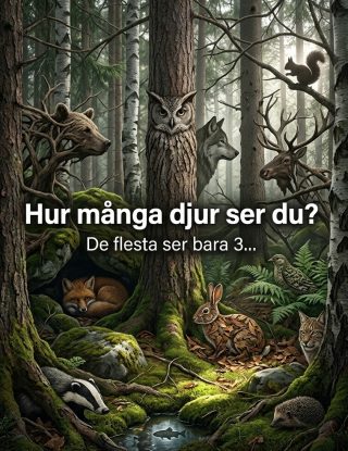 Hur många djur såg du egentligen?