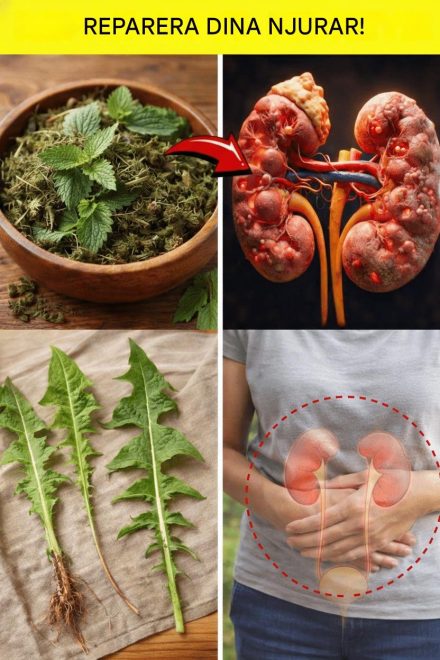 5 bästa örter för njurhälsa: Naturligt stöd med vetenskaplig bakgrund