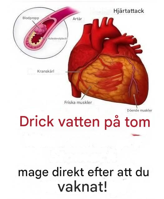 Fördelar med att dricka vatten på tom mage: Vad vetenskapen verkligen säger