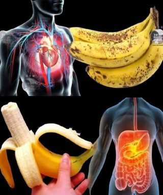 Visste du att äta bananer… Visa mer