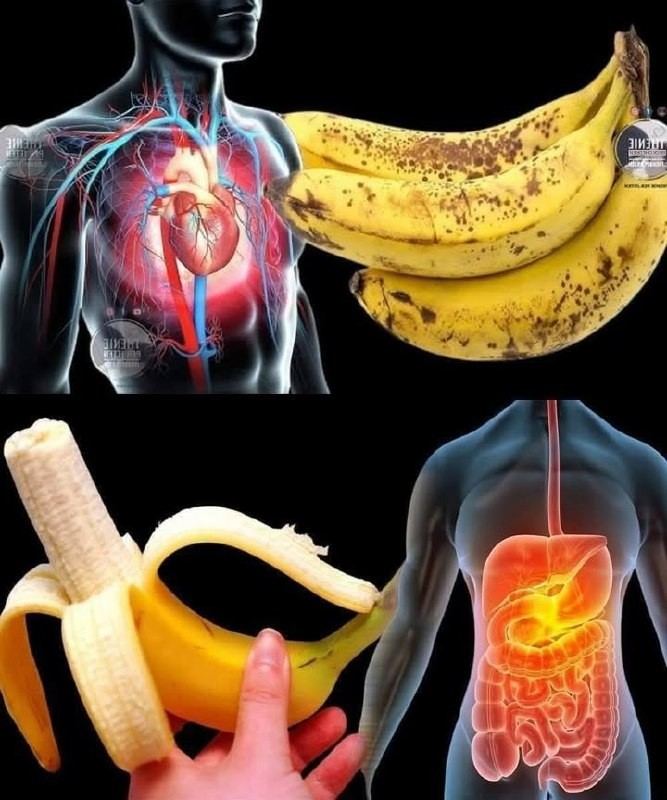 Visste du att äta bananer… Visa mer