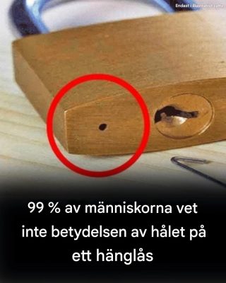 99 % av människor vet inte betydelsen av hålet på ett hänglås