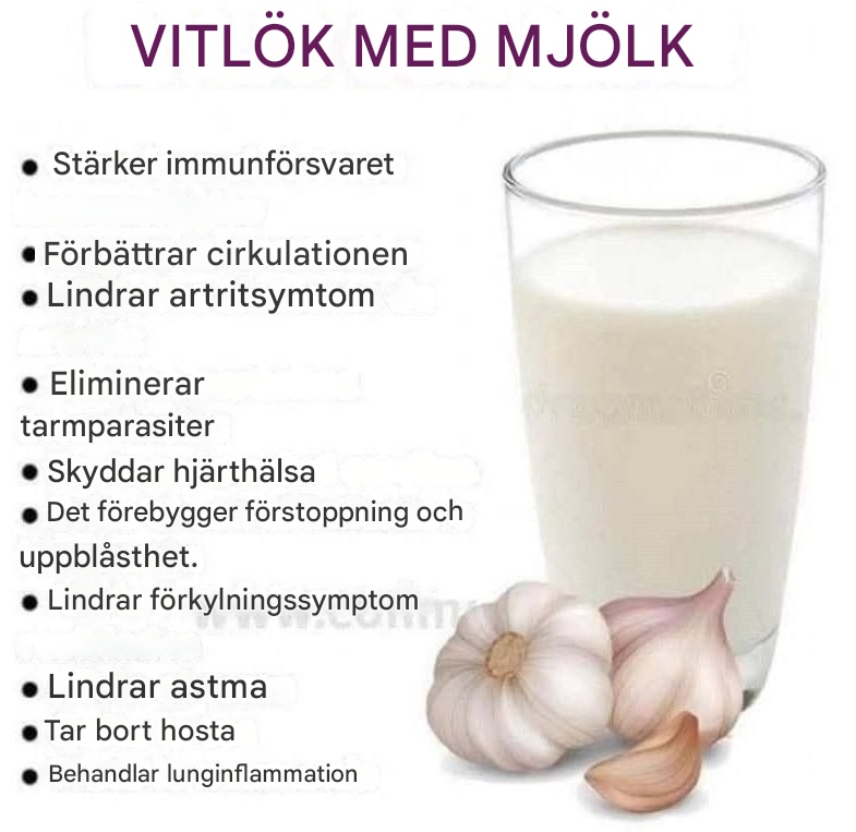 Vitlök och mjölk är den mirakulösa och nyttiga drycken