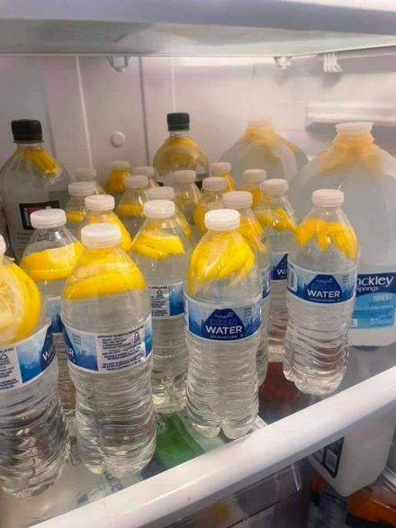 Ingefäravatten: den hälsosammaste drycken för att bränna allt fett i mage, nacke, armar, rygg och lår!