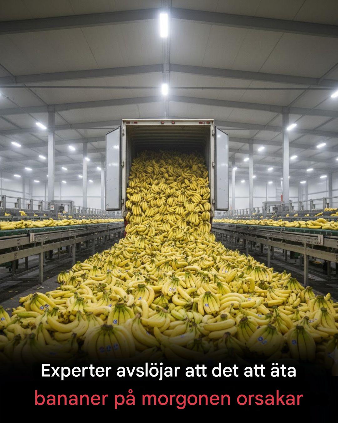 Lekexperter avslöjar att det att äta bananer på morgonen orsakar
