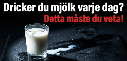 Är mjölk alltid nyttigt? Här är sanningen 🥛