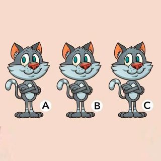 Optisk illusionsutmaning: Vilken katt är annorlunda på bilden?