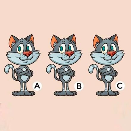 Optisk illusionsutmaning: Vilken katt är annorlunda på bilden?