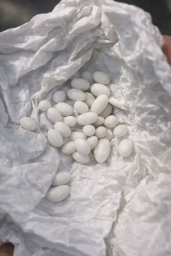 Jag hittade några konstiga små vita bollar i min 15-årige sons ryggsäck: Han säger att det bara är godis, men jag tror honom inte.