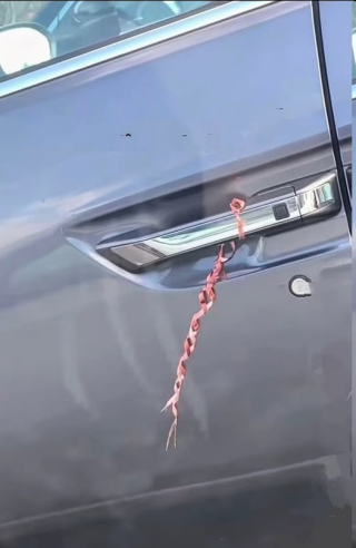 Du har handlat klart. Solen går ner. Sedan ser du det…