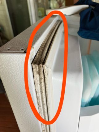 Hur man rengör svartmögel från en kylskåpspackning på några minuter