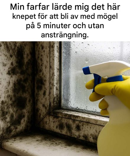 Våra mormödrars lösning för att utrota mögel på ett ögonblick