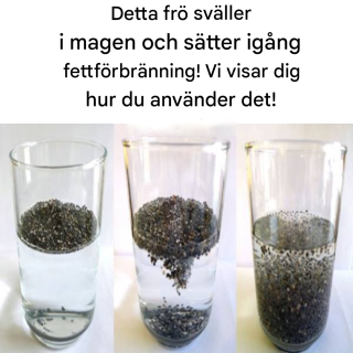 Detta frö sväller i magen och börjar bränna fett! Vi visar dig hur du använder det!