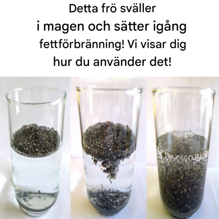 Detta frö sväller i magen och börjar bränna fett! Vi visar dig hur du använder det!